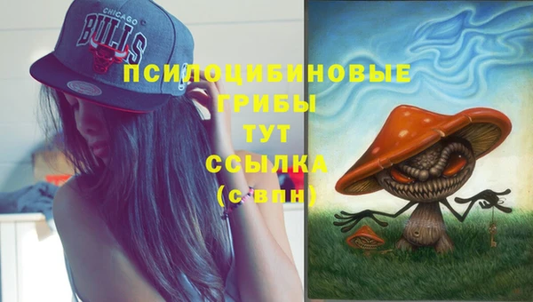 бутират Кукмор