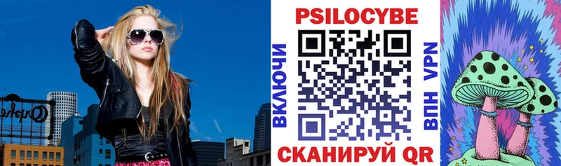 Псилоцибиновые грибы ЛСД  где продают   блэк спрут онион  Моршанск 